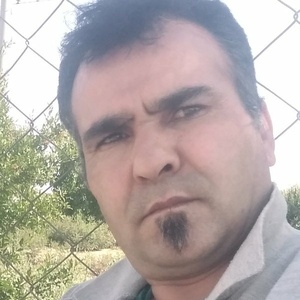 محمد شیردل