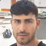 داود ذوالفقاری