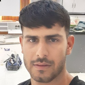 داود ذوالفقاری