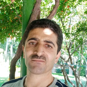 سید حسام امانی گوزل بلاغ
