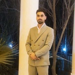 حامد میرحسینی