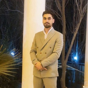 حامد میرحسینی