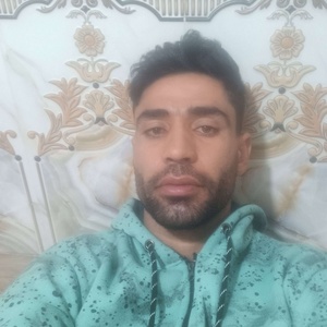 مهدی سیاوشی