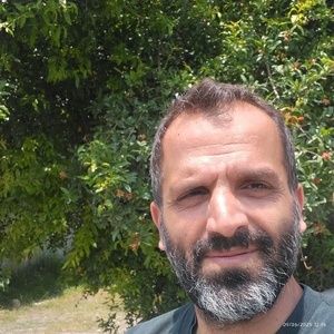 علی غلامی