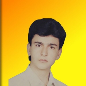 محمد بهمناسبی