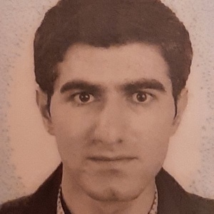 میلاد محمود پور