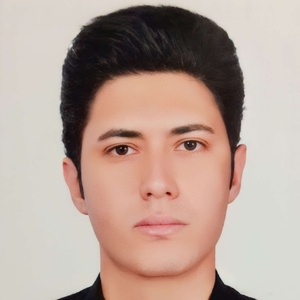 بابک مخدومی جوان