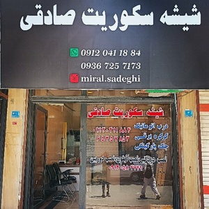 محسن صادقی