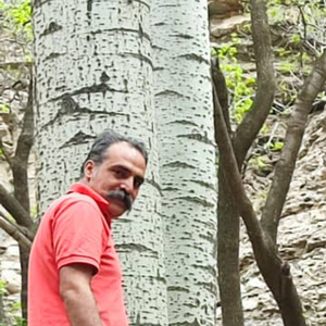 سعید جلیلوند