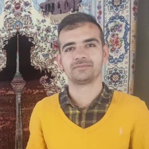 امیر بیانی