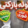 امیررضا شالی