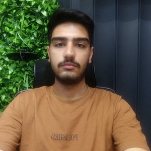 متین گندمی