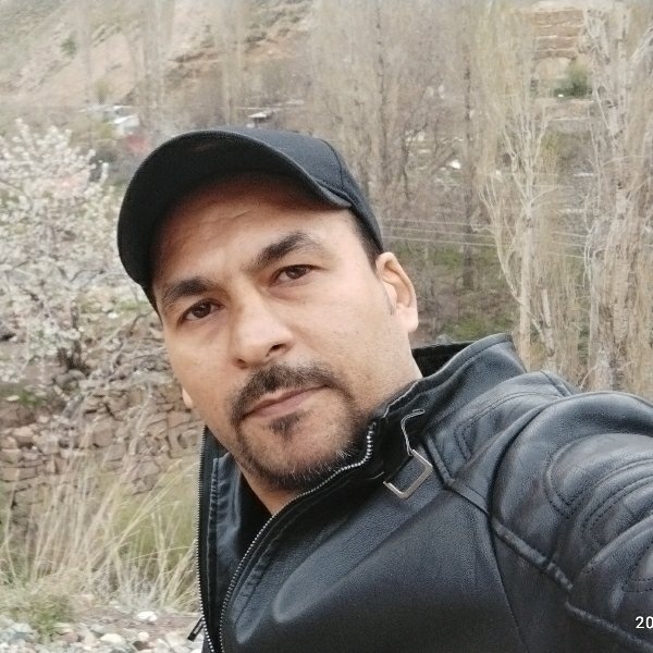 محمد تیموری