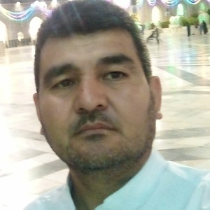 حسن فیضی