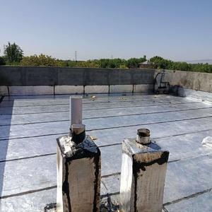 بهزاد قاسمی