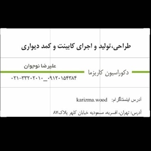 علیرضا نوجوان