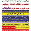 محمد مهدوی