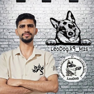 مرتضی شکری
