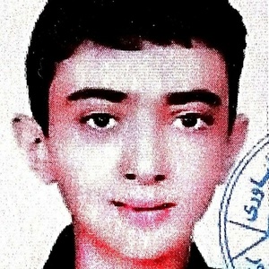 محمد میرزادی