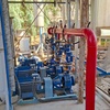شادی ثنایی مهر