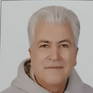 جواد ابراهیمی پلارتی