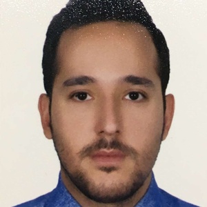 حامد حسینی رودباری