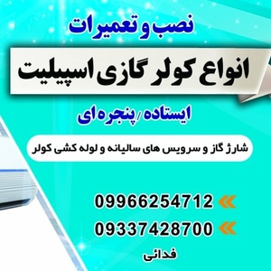 متین فدایی