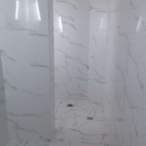 اصغر معظمی گودرزی