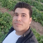 مصیب سعیدیزدلی