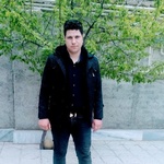 مجتبی شفیعی