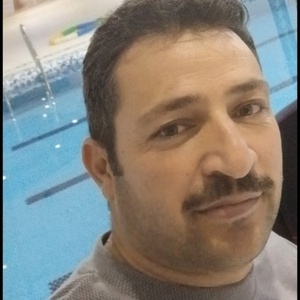سید حسن احمدی گواری
