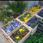 تصویر پروفایل مهدی براتی