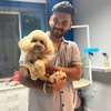 محمدرضا جمالی