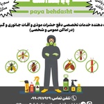 براتعلی چراغی
