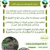 امیر ناصر سعیدالذاکرین