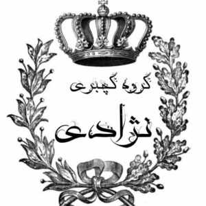 محسن نژادی