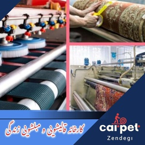 محمدمهدی خاکپور بیلداشی