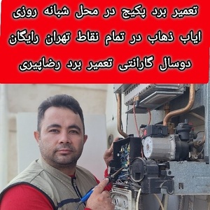 رضا پیری