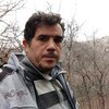 هادی پرهیزگار