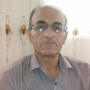 هادی نیکان