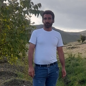 مهدی احمدوند