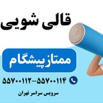 پیمان دولتی