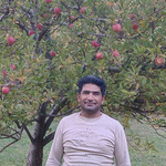 محسن لک