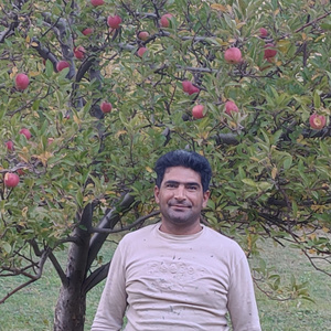 محسن لک