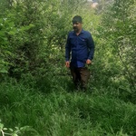 کامران مرادی هیربد