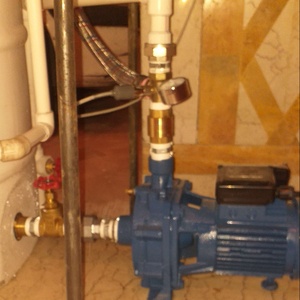 مهدی علی زاده