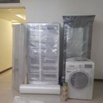 مرتضی مصطفی لو