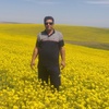 داریوش محمدکریمی