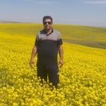 داریوش محمدکریمی