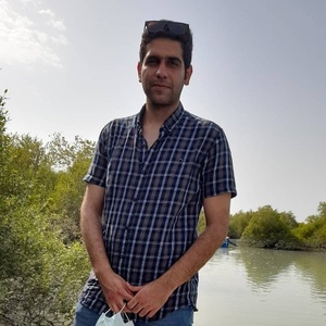 محمدحسین دالوند